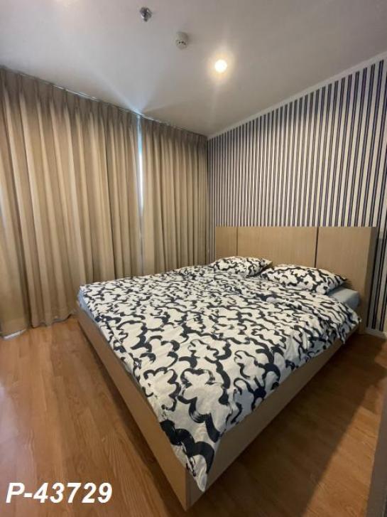 �͹� �ҧ���