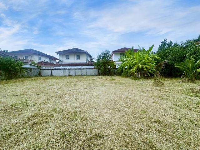 ��·��Թmrt���