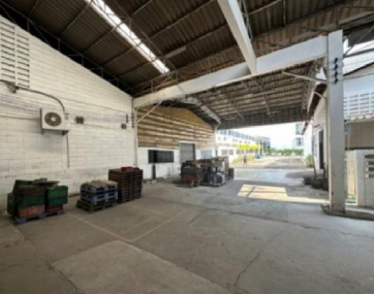 �ç�ҹ������ �ҧ��