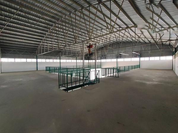 �ç�ҹ������ ���١�һ����ҹ�