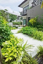 ��ҹ������ 28,000 �ҷ/��͹