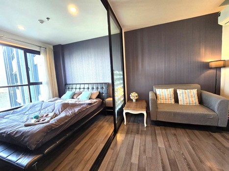 �͹� ���������