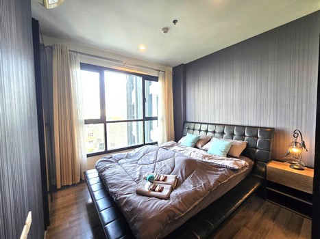 ��¤͹� �����ȡ�ا෾