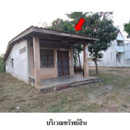 ��º�ҹ ���ͧ��ѧ ��ѧ