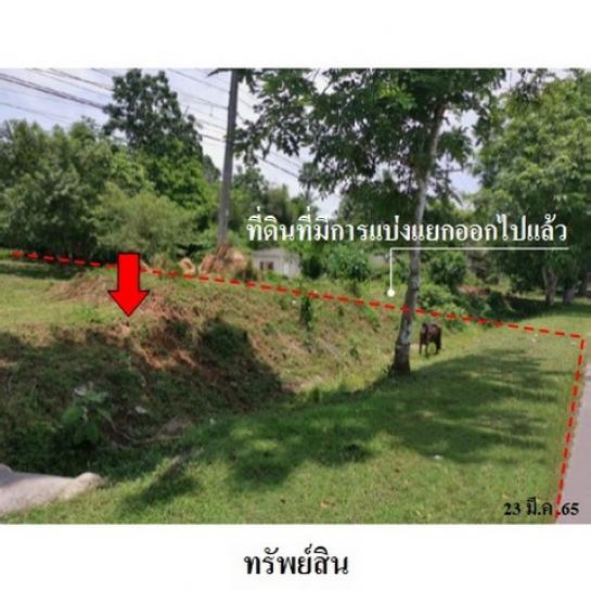 ��·��Թ �����ʹ��ѧ