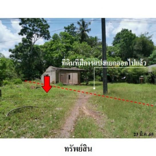 ��·��Թ �����ʹ��ѧ