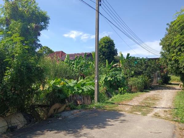 ���Թ ����������