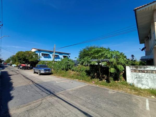 ���Թ �չ����