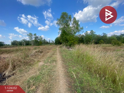 ���Թ ���ͧ �͹��