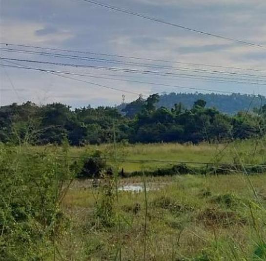 ���Թ 7 ���