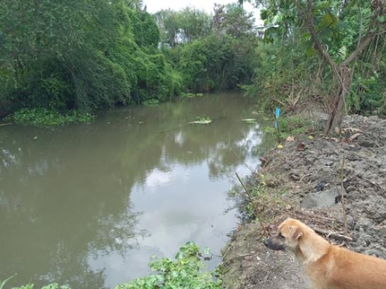 ขายที่ดิน 1,800,000 บาท ขายที่ดิน 1,800,000 บาท