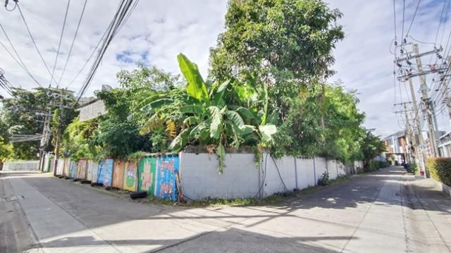 ��·��Թ �Ѳ��