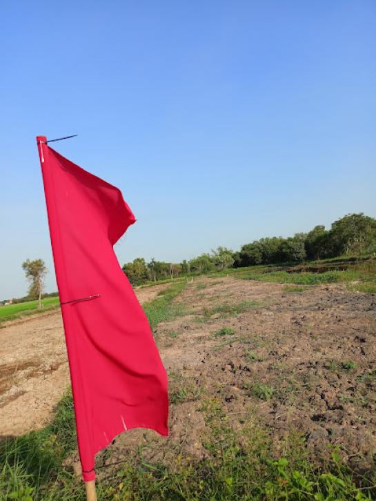 ที่ดิน ลดราคา ที่ดิน ลดราคา