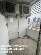 �͹� ��بѡ� 51 ���ҧ����