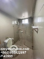 �͹� 51 ���ҧ����