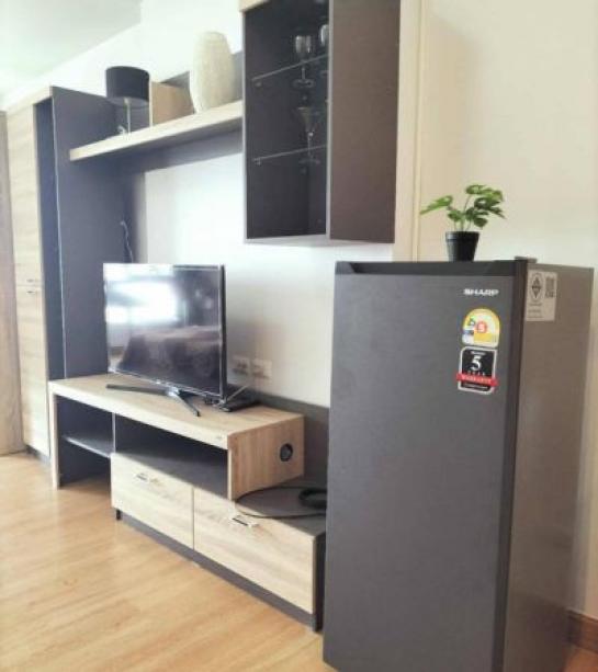 �͹������� ���ͧ��§������§����