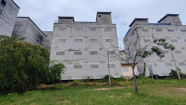 ;�����鹷�