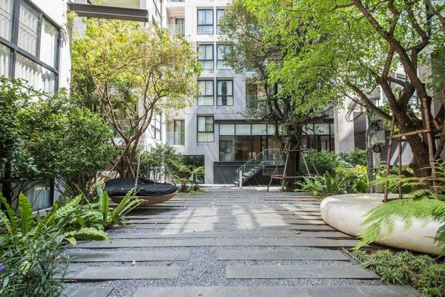 �͹⴫�ǹ�� �Ѳ��