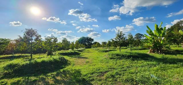 ��·��Թ ���ͧ�ҭ�����աҭ������