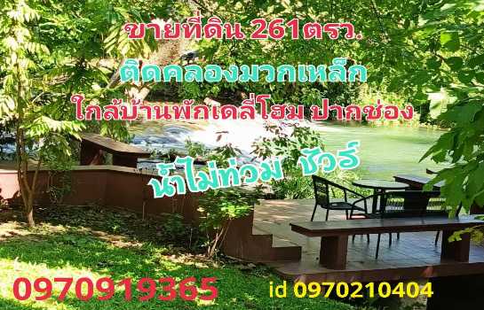 ���Թ �ҡ��ͧ ����Ҫ����