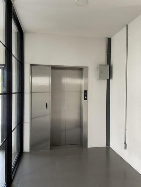 ⡴ѧ������ �ѧ�ͧ��ҧ��ا෾