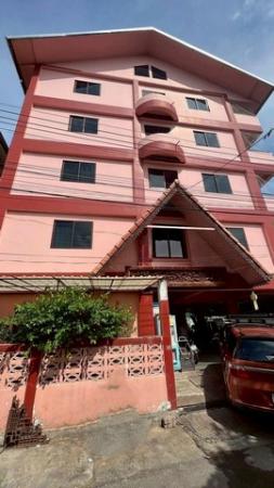 ;�����鹷�