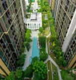 ������ �͹� �͹���ͧ