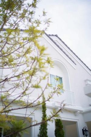 ขายบ้าน 13,900,000 บาท ขายบ้าน 13,900,000 บาท