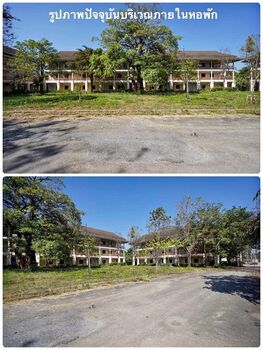 ;�����鹷�