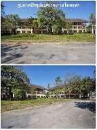 ;�����鹷� 8 ���