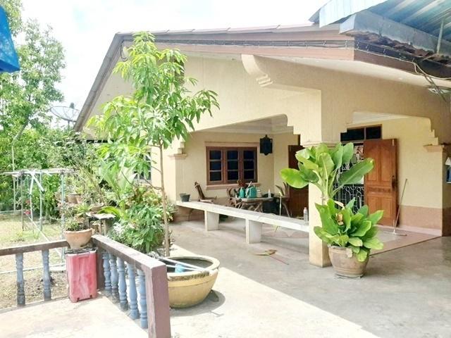 ��ҹ������ �����ҹ ��û��