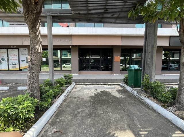 �Ҥ�þҳԪ�������� �����ȡ�ا෾