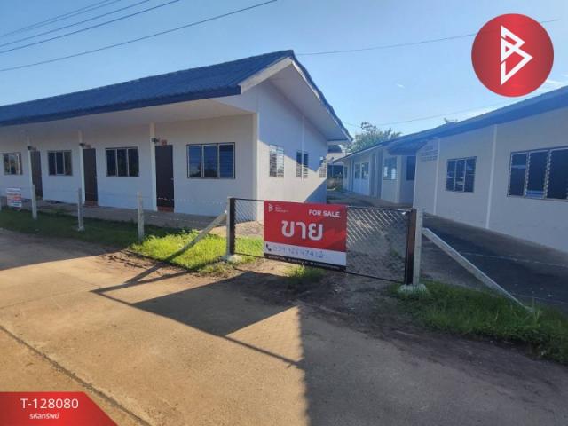 ;�����鹷�