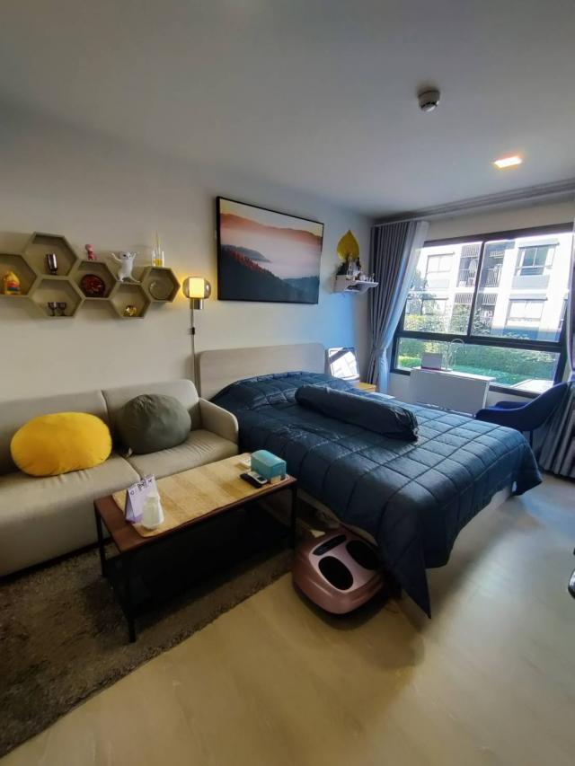 ��¤͹� 35���