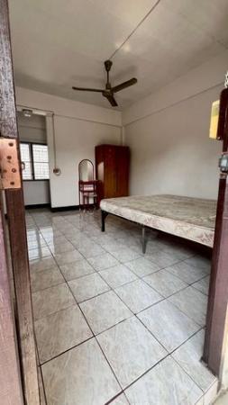 ;�����鹷�����Ƿ���� ��§����