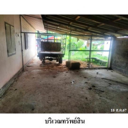 ��º�ҹ �����ʹ��ѧ