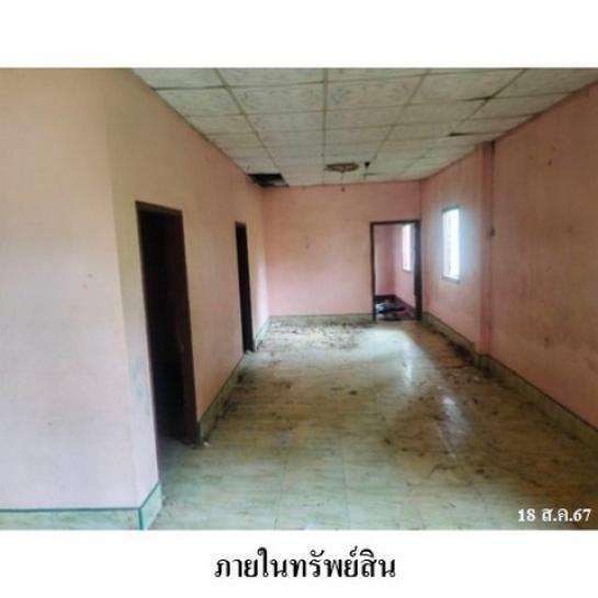 ��º�ҹ �����ʹ��ѧ