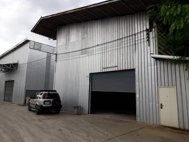 ⡴ѧ Chan ⡴ѧ Chan