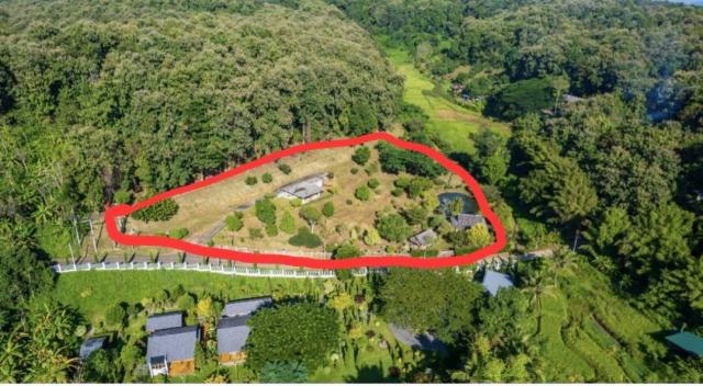 ���Թ 5 ���