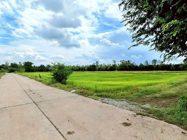 ที่ดิน ลดราคา ที่ดิน ลดราคา