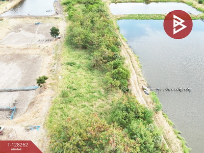 ���Թ��ҹ˹�ҵԴ��� �ҧ�С�