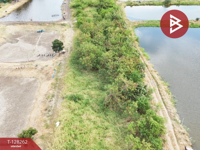 ���Թ�Ҥһ����Թ �ҧ�С�