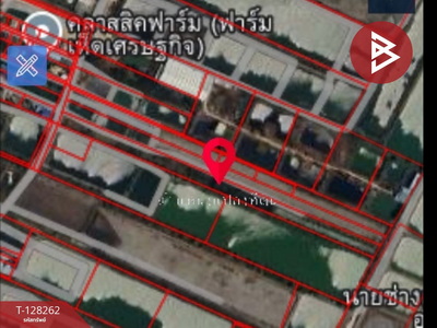 ���Թ���ԧ��� �ҧ�С�