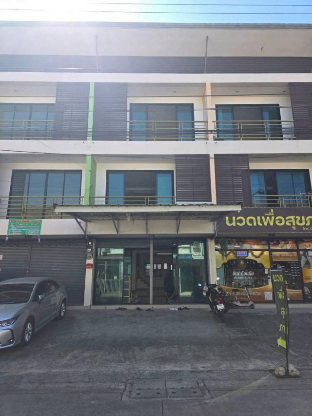 �Ҥ�þҳԪ�������� ��������ا෾