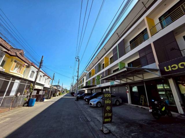 �Ҥ�þҳԪ�������� ��������ا෾