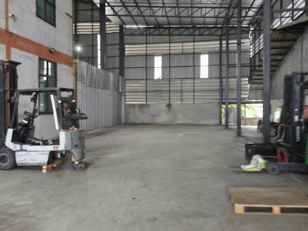 ⡴ѧ����͡�����·ҧ �ط�����