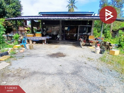 ��º�ҹ �����ո����Ҫ