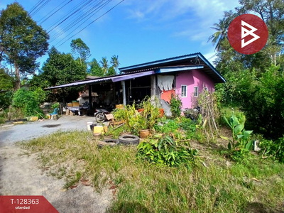 ��º�ҹ �Իٹ �����ո����Ҫ