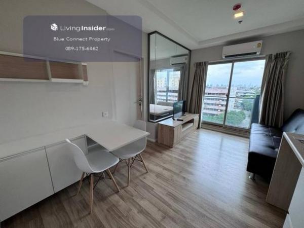 �͹������� �ҧ�ع��¹��ا෾