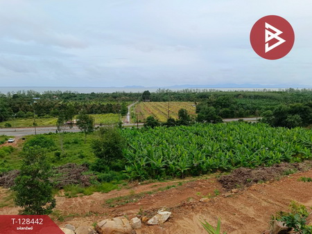 ���Թ ��Ҵ